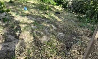 Imagem: Chacara a venda