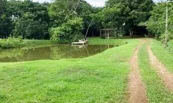 Imagem 6: LINDO SITIO A VENDA 50 HEC BEIRA RIO CUIABA
