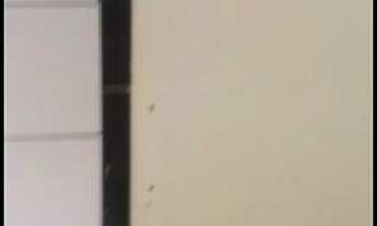 Imagem: Kitnet vila jaiara