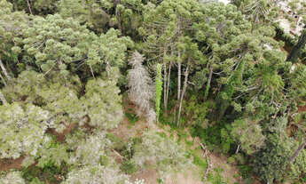 Imagem 2: Terreno à Venda no Capivari - Campos do Jordão/SP