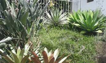 Imagem 5: PORTO ALEGRE - Casa Padrão - PASSO D AREIA