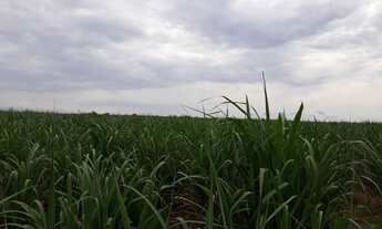 Imagem 4: Fazenda para Venda em Mineiros, Mineirinho