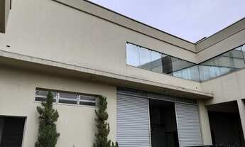 Imagem 4: GALPAO COMERCIAL em SÃO PAULO - SP, VILA INVERNADA