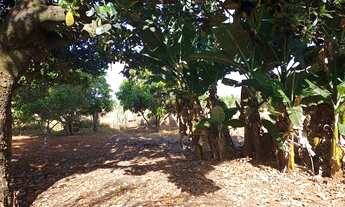 Imagem 6: Ot,chac,5000mts com cs 03 qts a 7 kms de brazlandia poço artesiano a/c,imovel e carro so 2