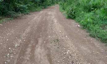 Imagem 5: Fazenda para Venda em Dianópolis