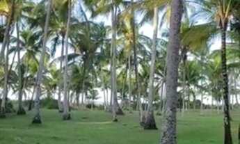 Imagem 6: AREA RESIDENCIAL em SANTA CRUZ CABRÁLIA - BA, 50 metros frente praia do Guaiú