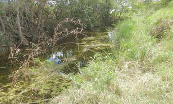 Imagem 3: Excelente fazendinha de , aproximadas, 30 tarefas, no capim, a margem de rio