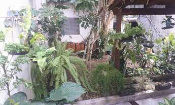 Imagem 6: Lindo Sobrado com 3 quartos e quintal com jardim em Vila Buenos Aires - São Paulo - SP