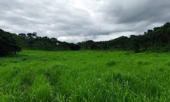 Imagem 6: Fazenda para Venda em Ponte Alta do Tocantins