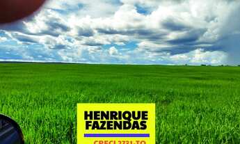 Imagem 3: Fazenda Vale do Araguaia Tocantins 500 alqueires