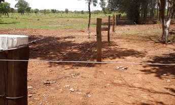 Imagem: Produtivo área 48 hectares Assentamento