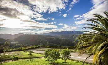 Imagem 4: Lugar maravilhoso, o pedaço de terra ideal para construir a casa na montanha!