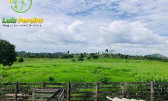 Imagem: FAZENDA À VENDA EM NOVO REPARTIMENTO