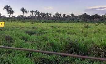 Imagem 5: FAZENDA À VENDA EM CODÓ - MA - DE 8,.583 HECTARES (Dupla Aptidão