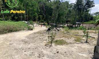 Imagem 6: FAZENDA À VENDA EM PACAJÁ - PA - 968 HECTARES (PECUÁRIA