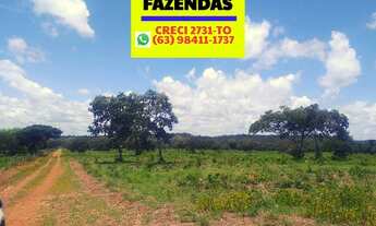 Imagem 5: Fazenda região de Cristalândia 140 alqueires