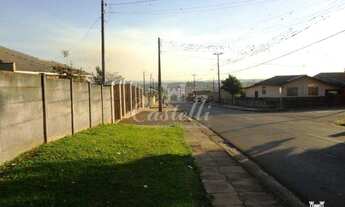 Imagem 7: Terreno Colonia dona Luiza