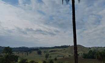 Imagem 2: Terreno de 10.000m2 com nascente e luz em Mateus Leme