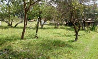 Imagem 5: Oportunidade ?mpar!!