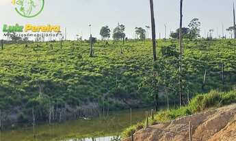 Imagem 4: FAZENDA À VENDA EM PACAJÁ - PA - 968 HECTARES (PECUÁRIA