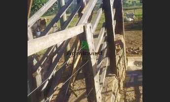 Imagem 6: Sítio em Nazário-GO