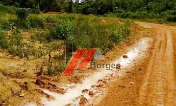 Imagem 4: Fazenda para Venda