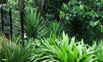 Imagem 7: Junto da natureza