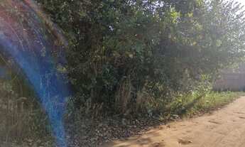 Imagem 3: Vendo área no centro de Parnamirim com 3.8ha