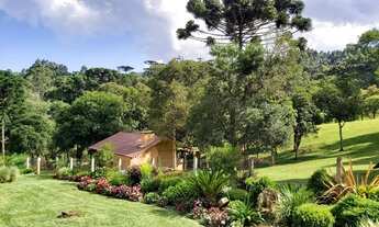 Imagem 5: RIO NEGRINHO - CHACARA - Campo Lençol