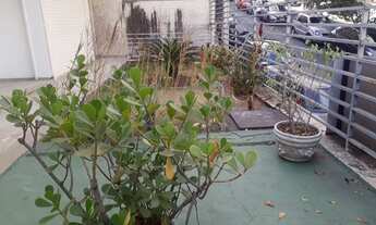 Imagem 2: BELO HORIZONTE - Casa Comercial - Bairro da Graça