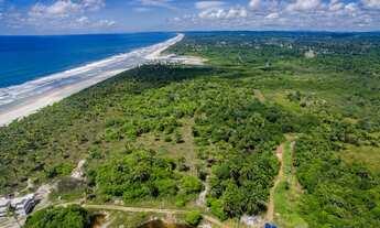 Imagem 2: Gleba em Ilhéus