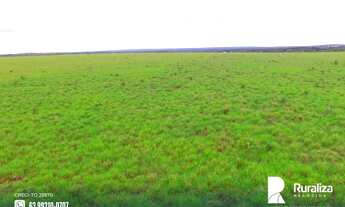 Imagem 4: Fazenda com dupla aptidão e 730,02 hectares na região de Guaraí - TO