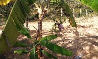 Imagem 7: Chácara 2.000 Estrada Juramento!!!