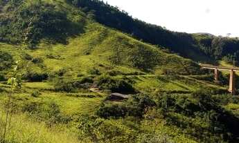 Imagem 4: Fazenda com 25 alqueires para venda - Quatis - RJ