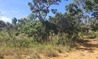 Imagem 4: Fazenda/Sítio/Chácara para venda tem 10000 metros quadrados em Planaltina - Brasília - DF