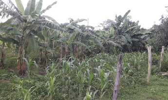 Imagem 5: Sítio na região da serragem sentido Cáceres