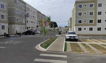 Imagem 5: Parque Chapada das Violetas