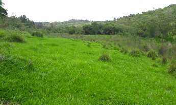 Imagem: Terreno 28 Hectares em Passa Tempo Rico
