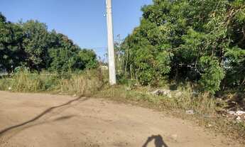 Imagem 6: Vendo área no centro de Parnamirim com 3.8ha