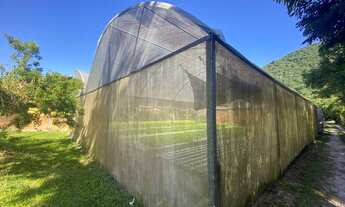 Imagem 4: FLORIANóPOLIS - Terreno Padrão - São João do Rio Vermelho