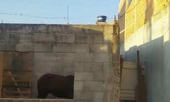 Imagem 5: Vende se essa casa em construção parque Viviane 1 Itaquaquecetuba