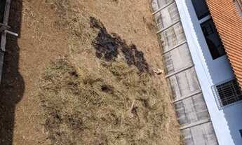 Imagem 7: Vendo lote 200m2 no Green Ville, Bairro Santo Antônio