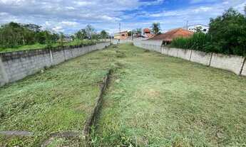 Imagem 5: Terreno chácara