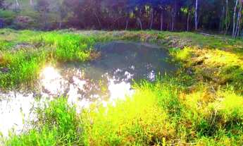 Imagem 4: TERRENO PARA SITIO EM LARANJAL PAULO LOPES