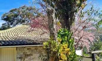 Imagem 4: Petrópolis - Casa de Condomínio - Bonsucesso