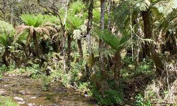 Imagem 7: Urubici - Terreno
