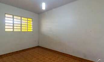 Imagem 5: Samambaia (Norte