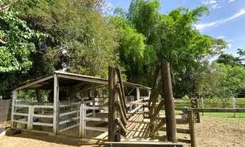 Imagem 5: Fazenda/Sítio/Chácara para venda com 97600 metros quadrados em Zona Rural - Bela Vista de