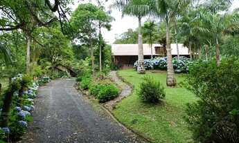 Imagem 5: Lindo sítio Chácara com venda por R$960.000