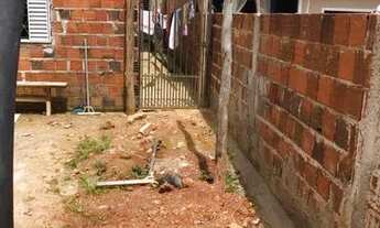 Imagem 4: Lote 26 de setembro